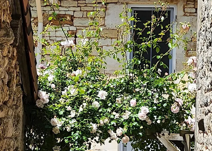 بيت للعطل Le Du Bois Renard *